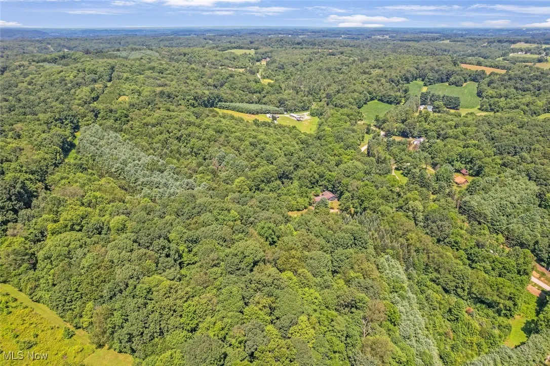 View of property location with a heavily wooded area
