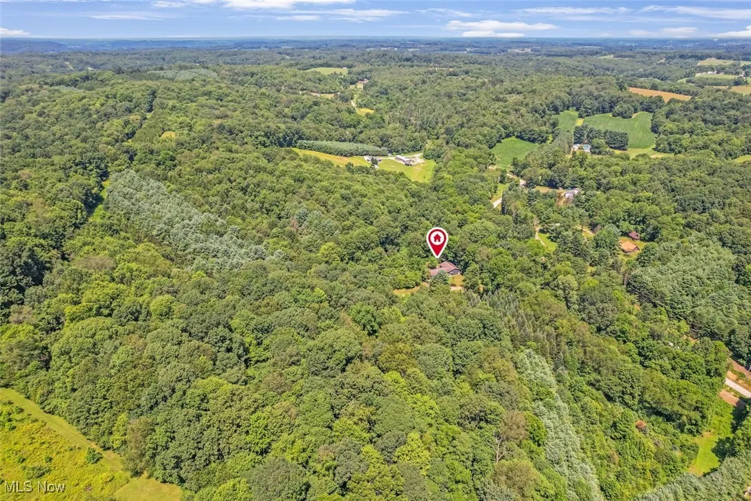 View of property location with a heavily wooded area
