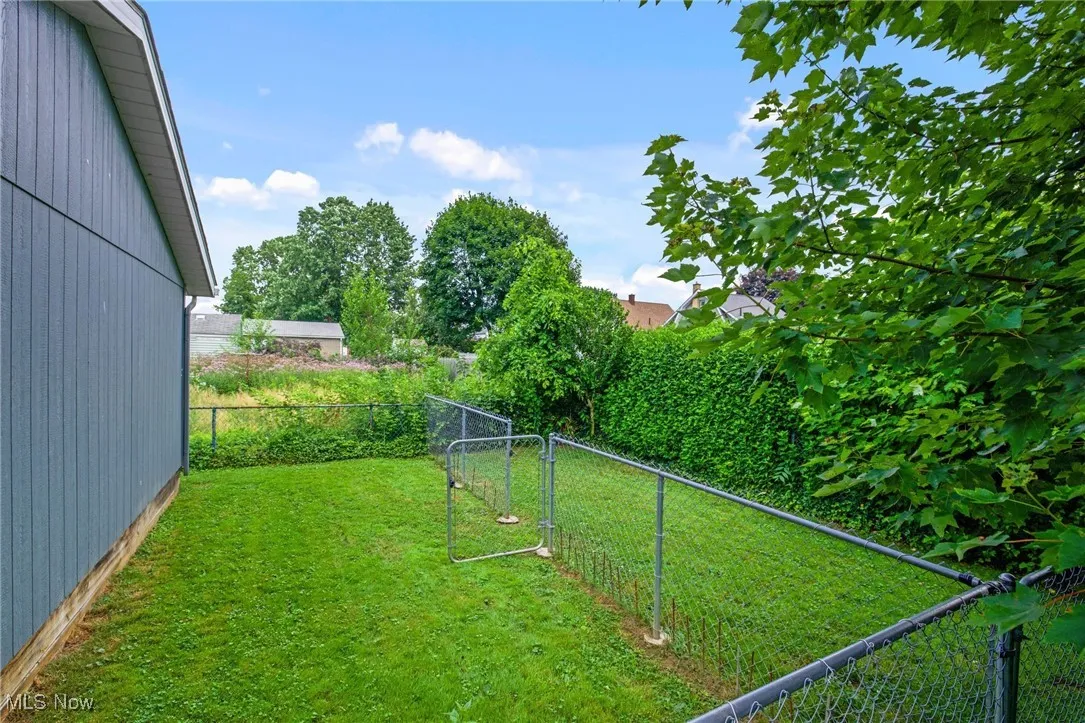 View of yard featuring a double gated dog run