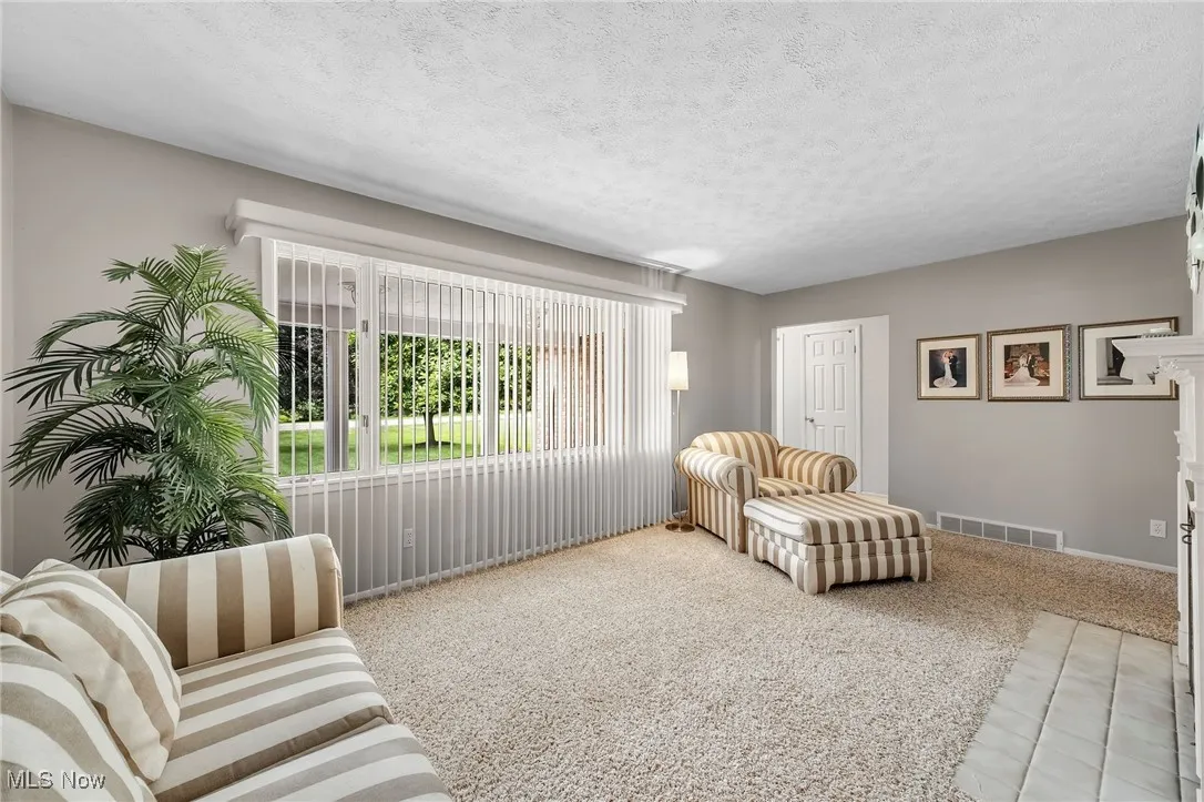 Living area with carpet flooring and a textured ceiling