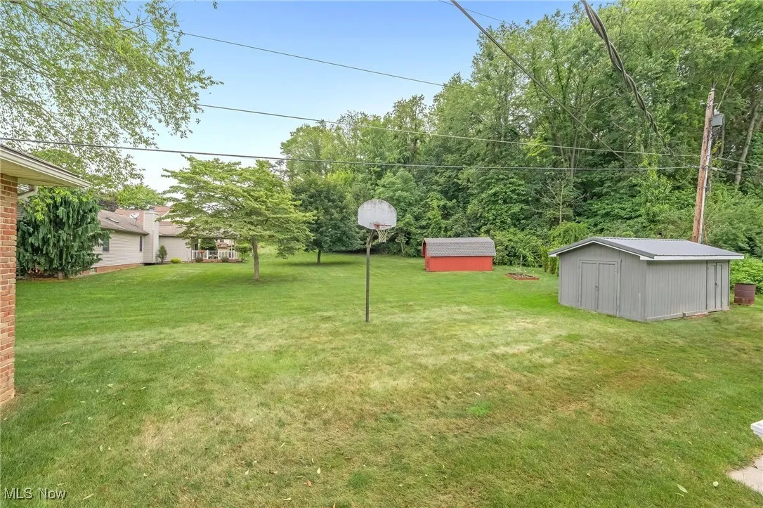 View of green lawn with a shed