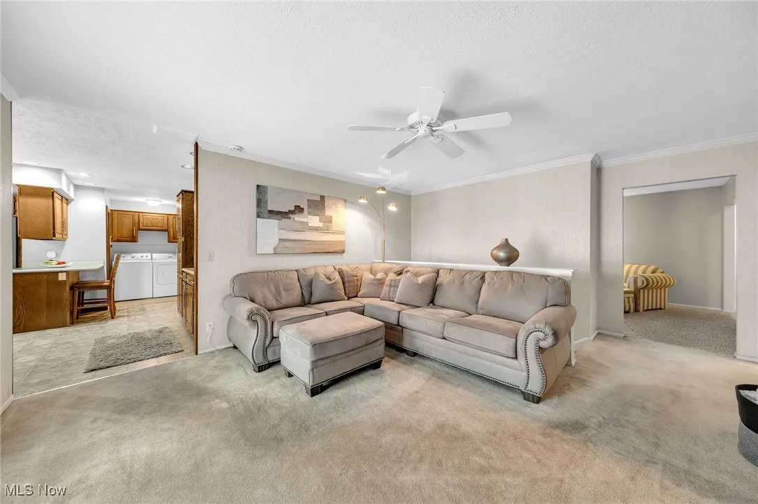 Living area featuring independent washer and dryer, ceiling fan, crown molding, and light colored carpet