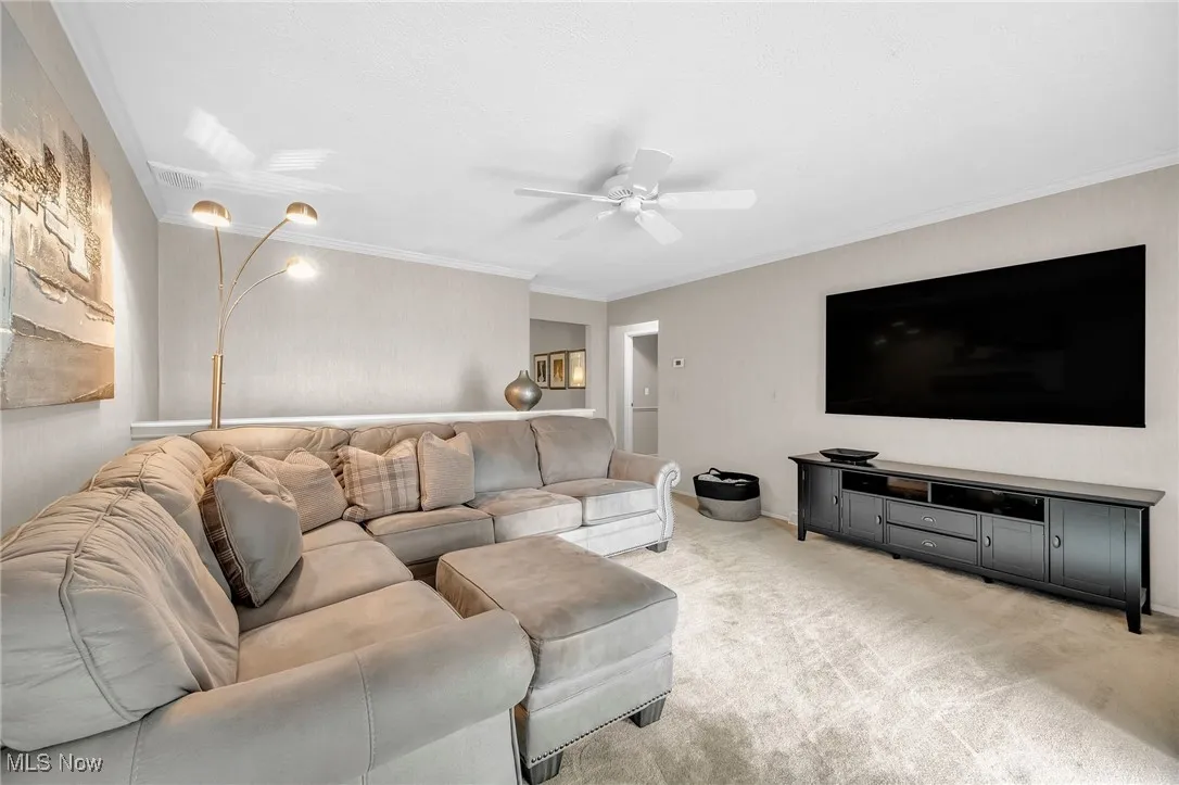 Living room with carpet floors, a ceiling fan, and ornamental molding