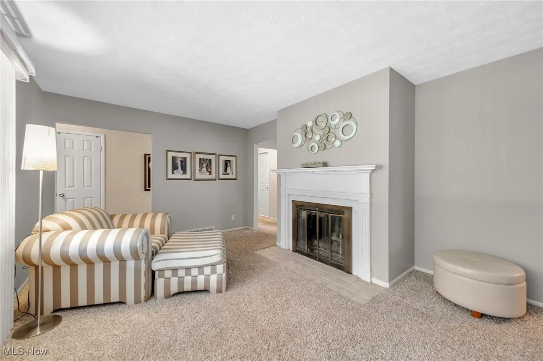 Living room featuring carpet, a fireplace with flush hearth, and a textured ceiling