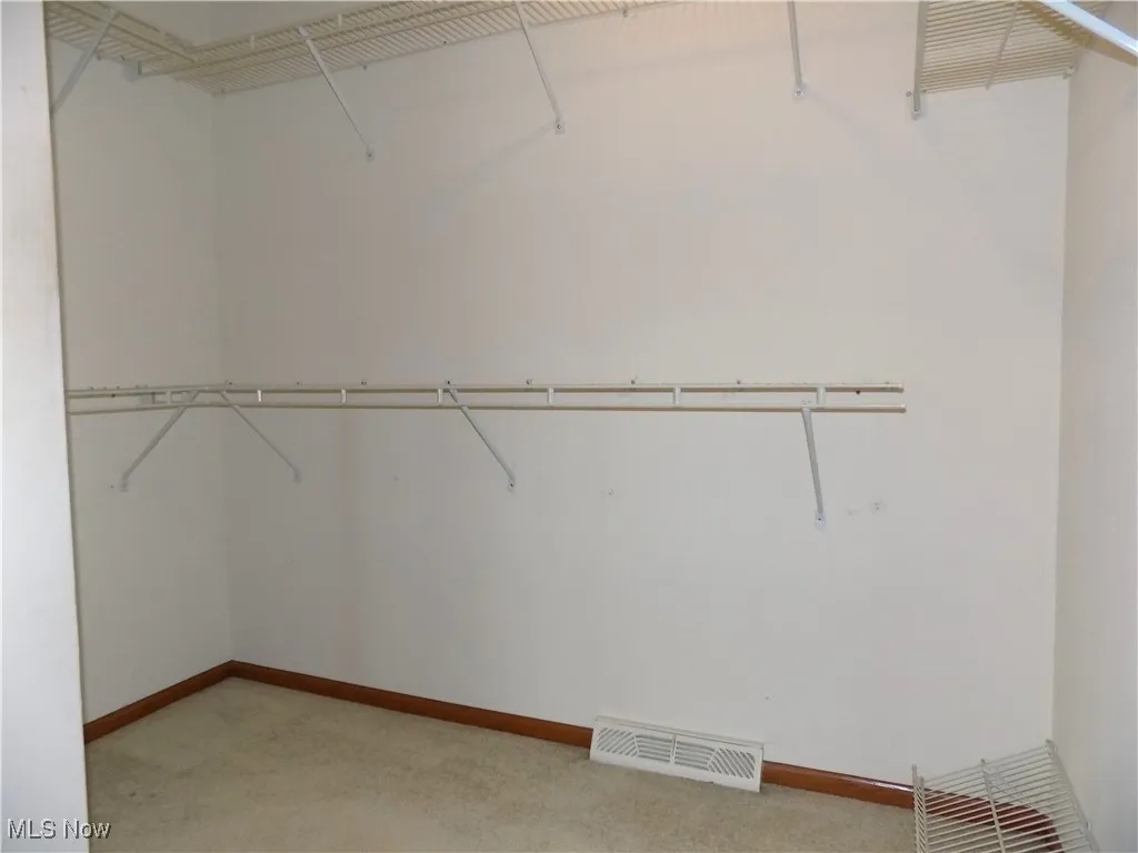 Walk in closet with light carpet