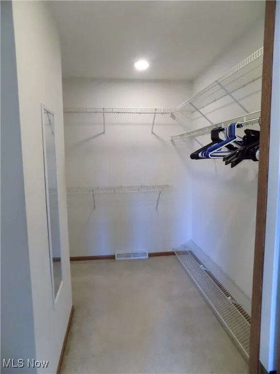 Walk in closet with carpet flooring