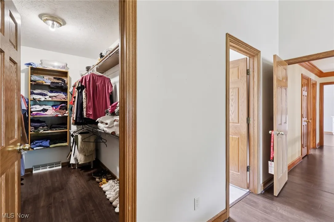 Walk in closet with wood finished floors