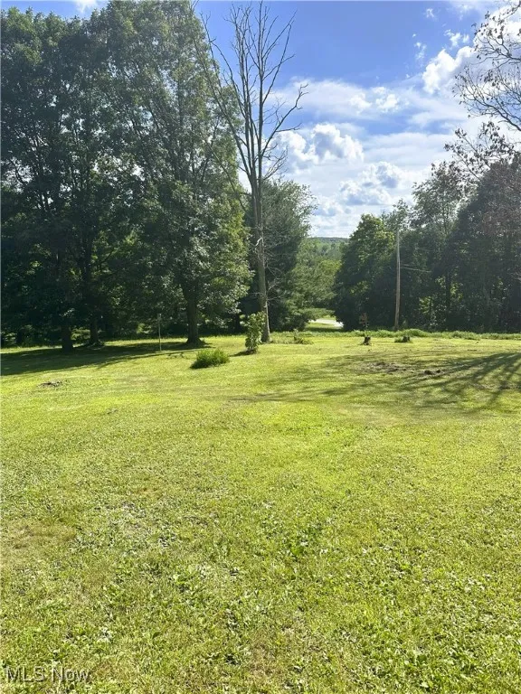 View of green lawn