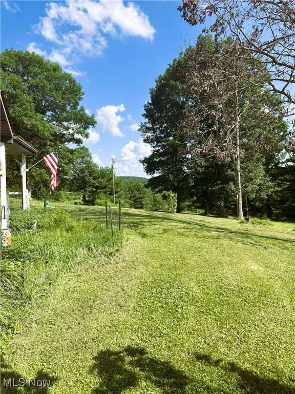 View of grassy yard