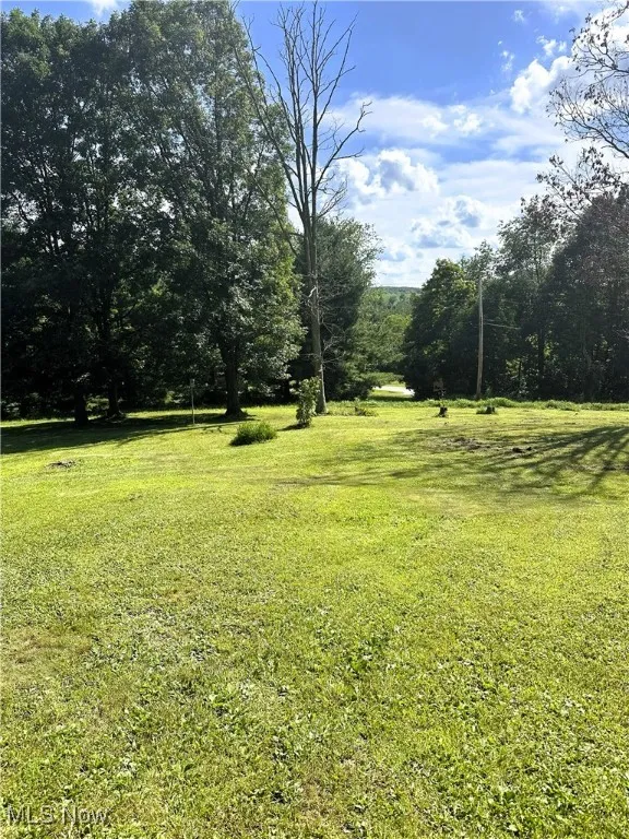 View of grassy yard