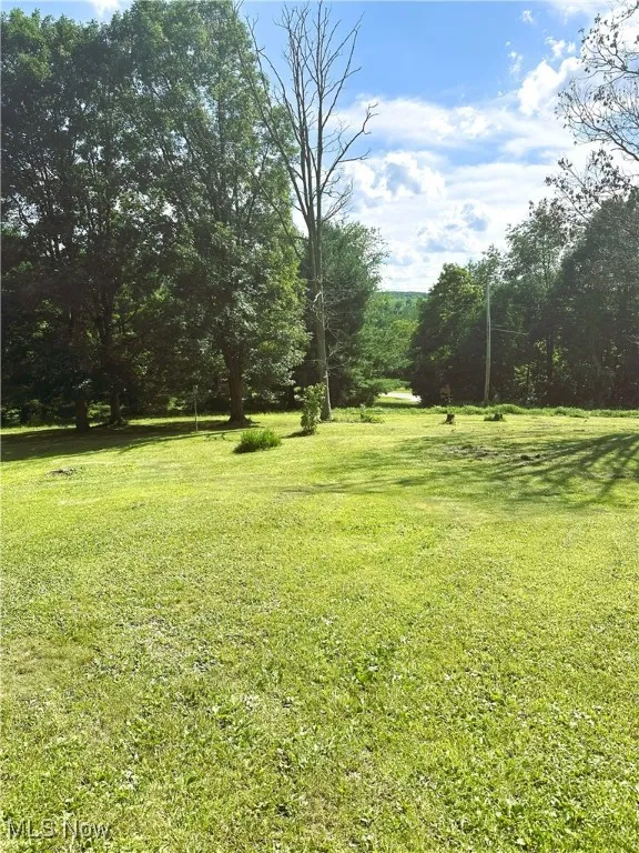 View of green lawn