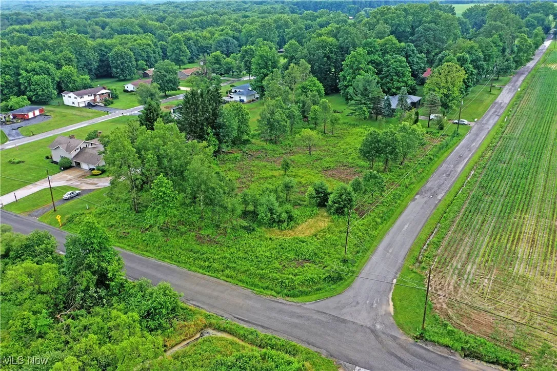 Aerial overview of property's location featuring a forest