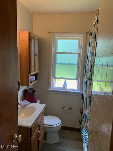 Bathroom featuring vanity, wood finished floors, and a shower with shower curtain