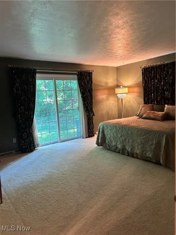 Carpeted bedroom featuring a textured ceiling