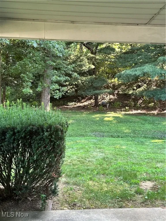 View of grassy yard