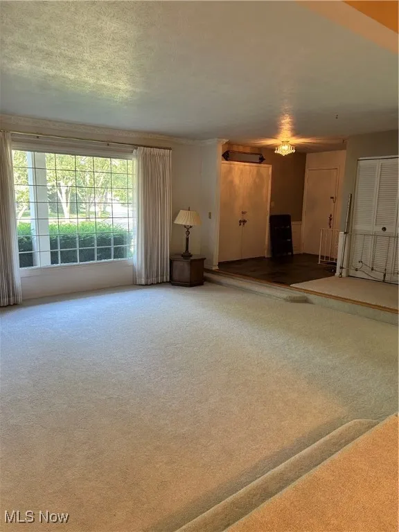Unfurnished living room featuring carpet floors