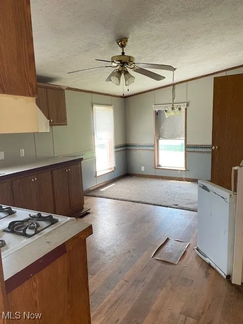 Kitchen with a textured ceiling, a ceiling fan, light wood-style flooring, fridge, and ornamental molding