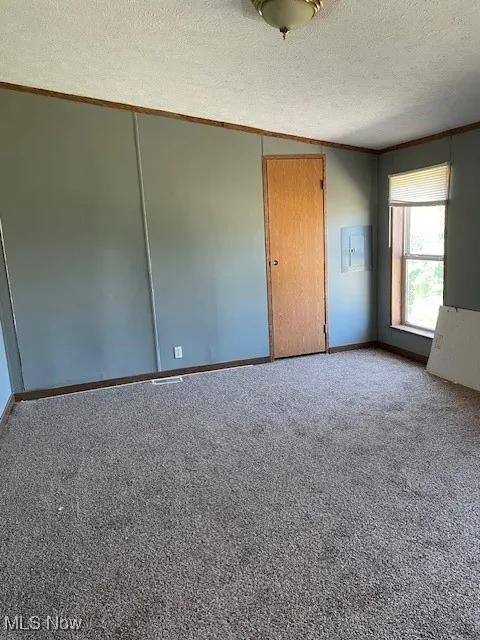 Carpeted spare room featuring ornamental molding and a textured ceiling