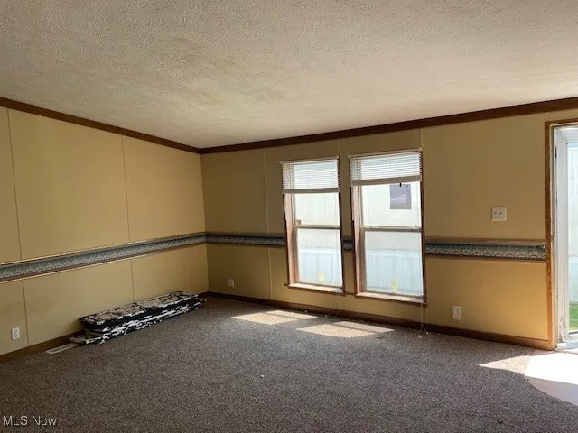 Carpeted empty room featuring ornamental molding and a textured ceiling