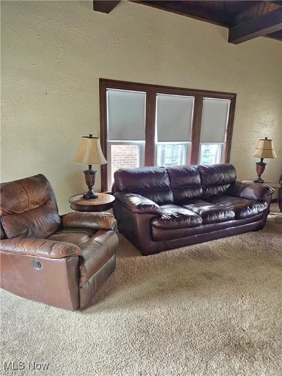 17405 Schenely Avenue, Cleveland, Ohio,MLS Now Listing ID