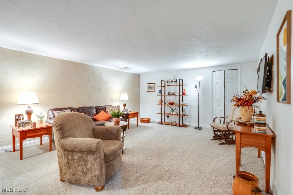 Living room featuring light carpet and a textured ceiling