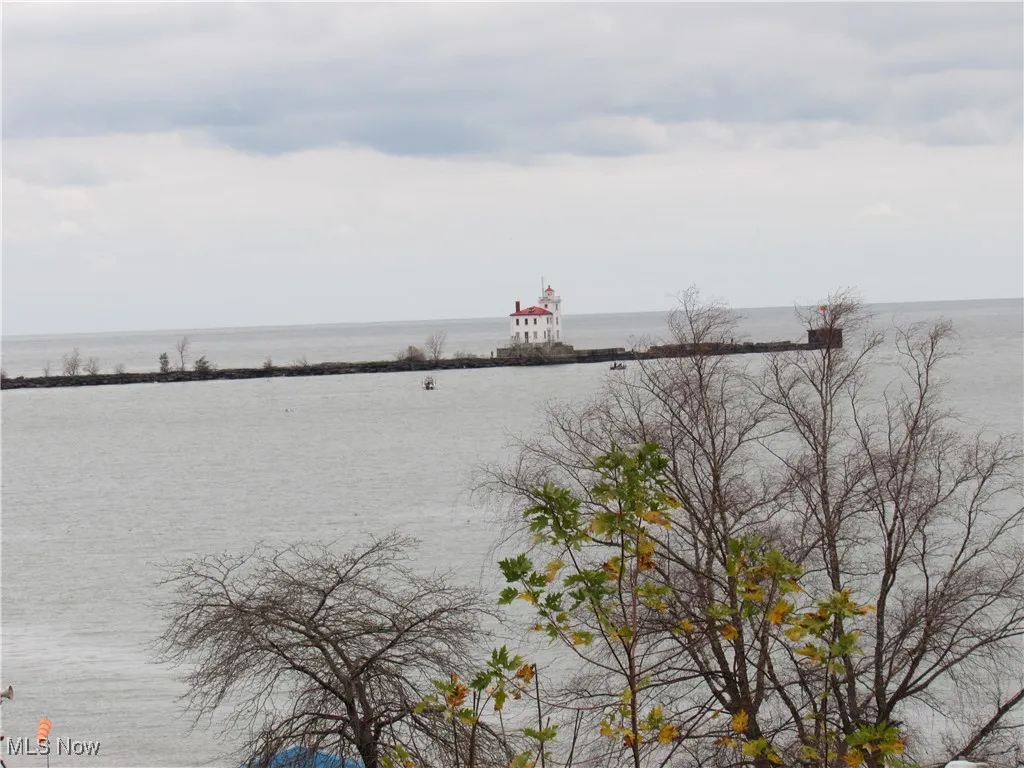 View of Lake Erie, breakwall & Lighthouse from the rear yard!