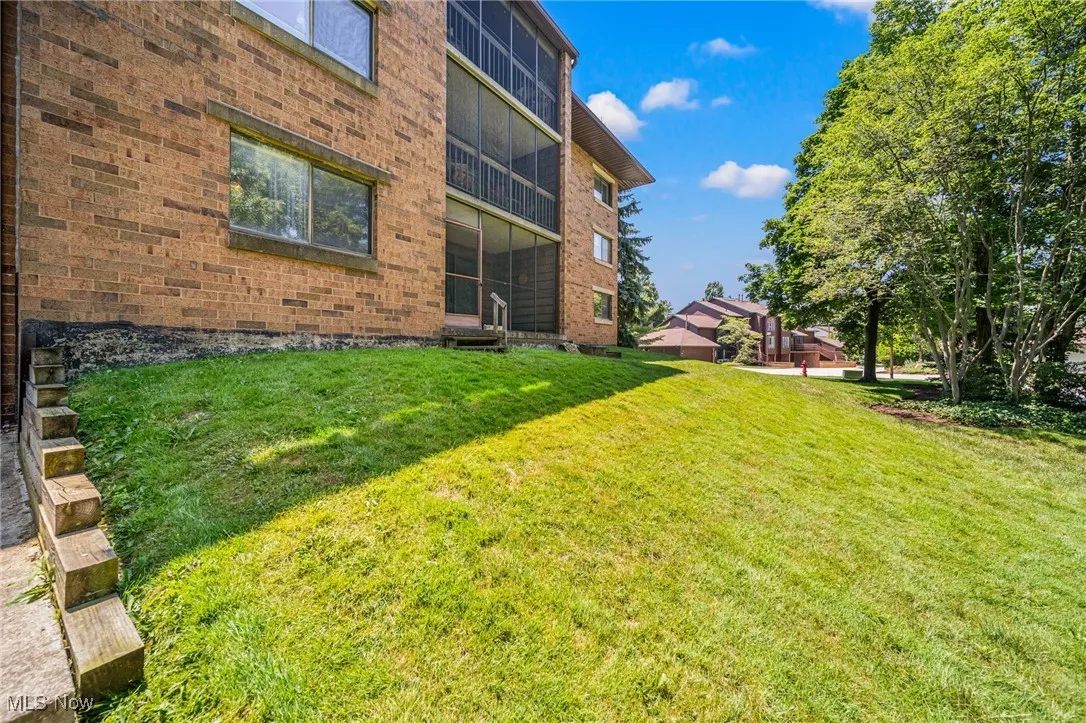 Another View Of Backyard