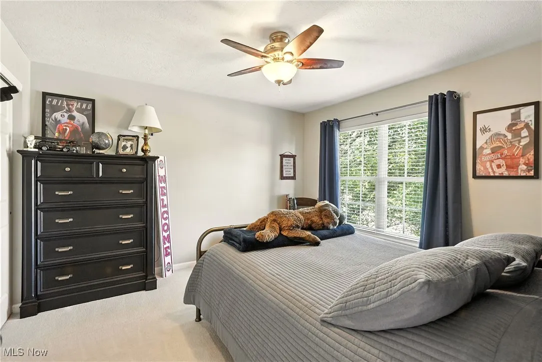 10421 Tolland Drive, Reminderville, Ohio 44202,MLS Now Listing ID