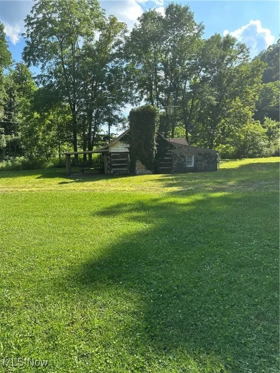 Nice level yard with plenty of parking space