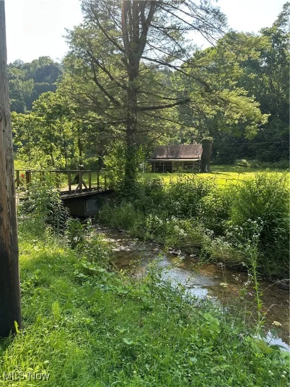 View of yard with a view of trees and town fork creek