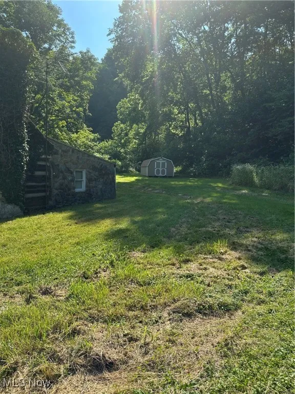View of grassy yard with a shed
