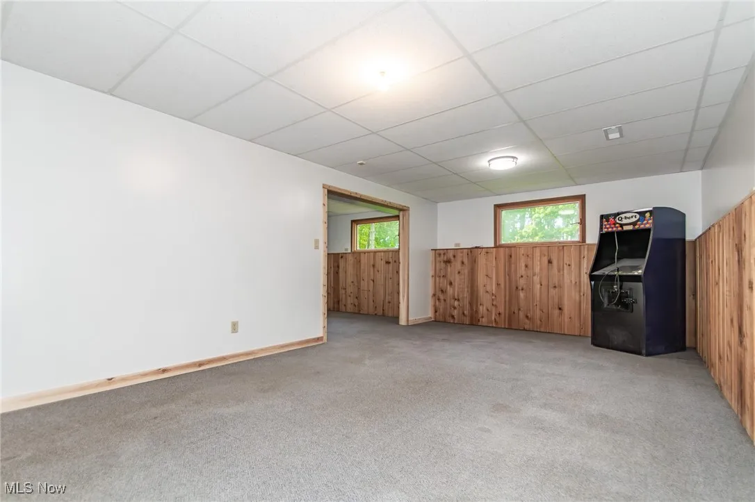 lower level rec room