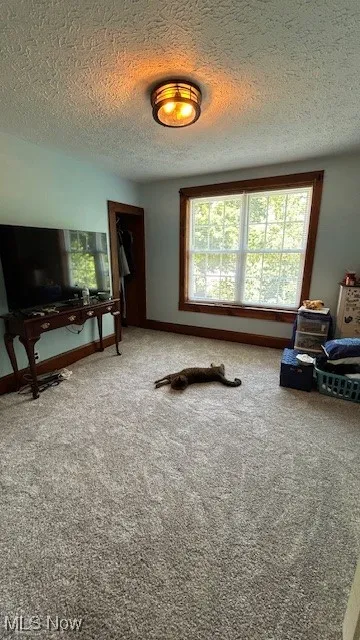 4530 N Ridge Road, Geneva, Ohio,MLS Now Listing ID