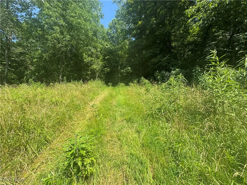 Lot 2 County Rd 9, New Matamoras, Ohio,MLS Now Listing ID