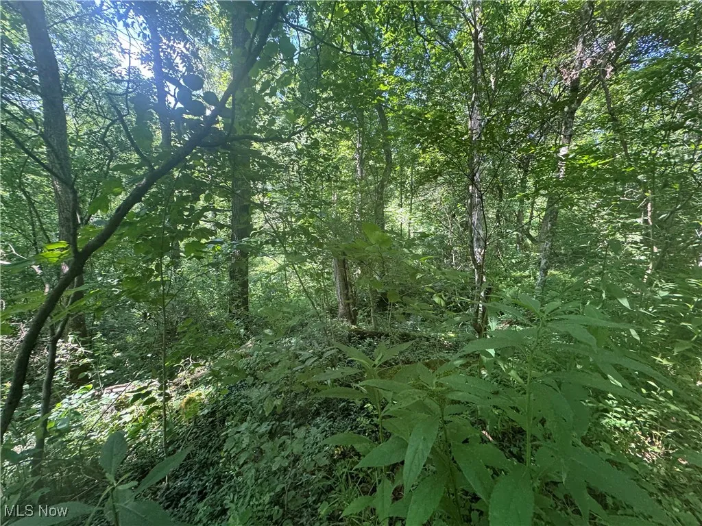 Lot 2 County Rd 9, New Matamoras, Ohio,MLS Now Listing ID