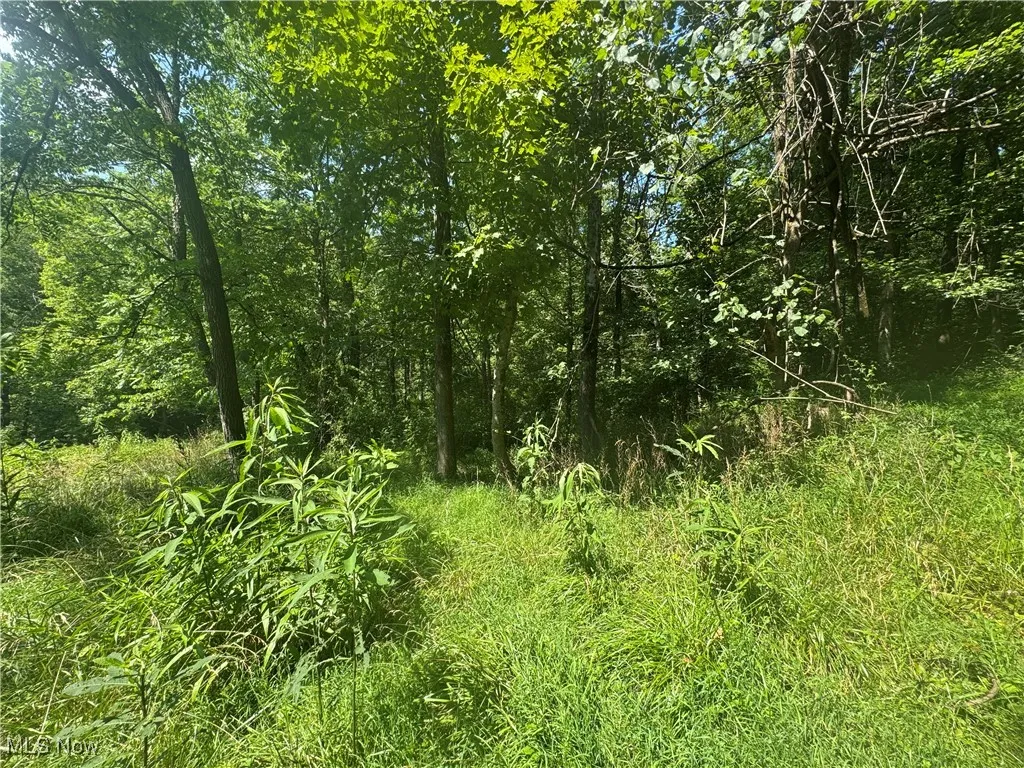 Lot 2 County Rd 9, New Matamoras, Ohio,MLS Now Listing ID