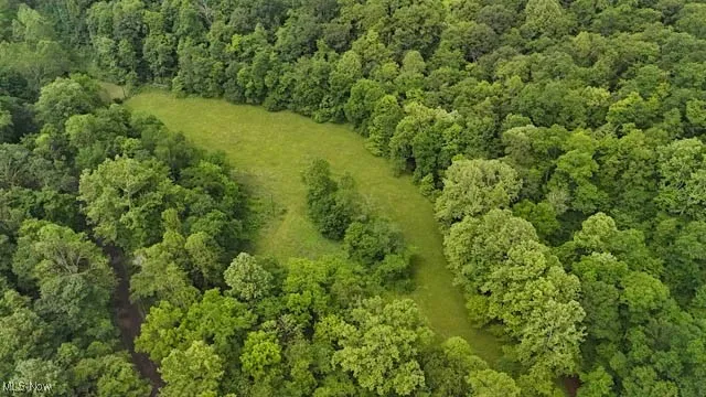 Lot 2 County Rd 9, New Matamoras, Ohio,MLS Now Listing ID
