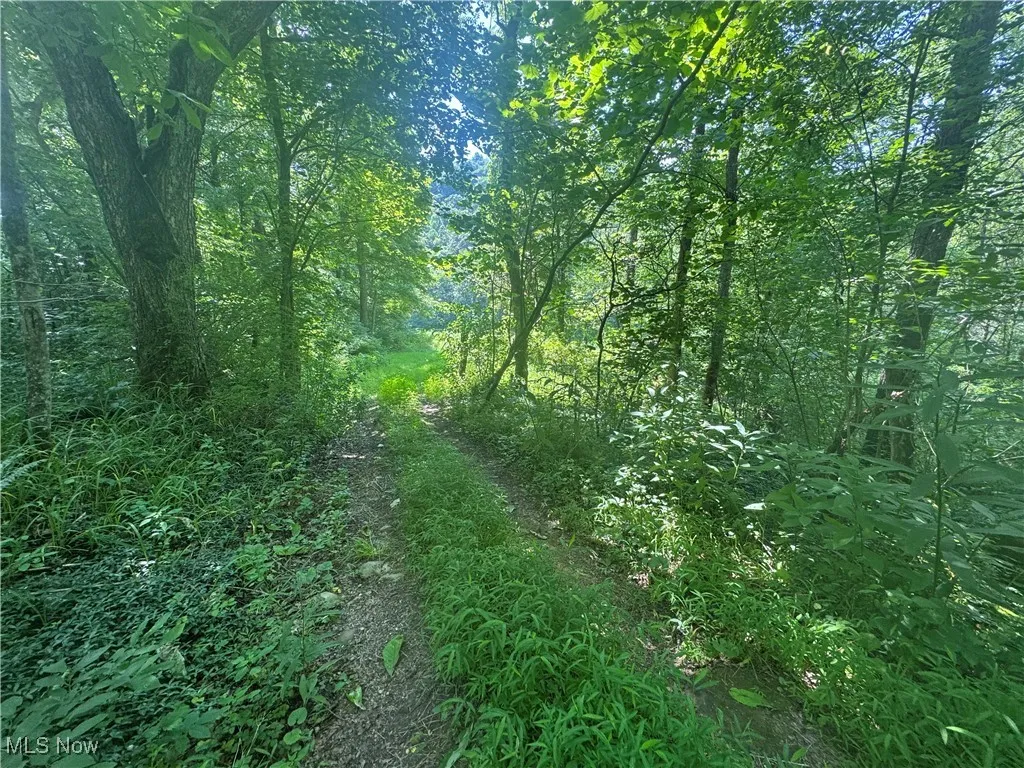 Lot 2 County Rd 9, New Matamoras, Ohio,MLS Now Listing ID