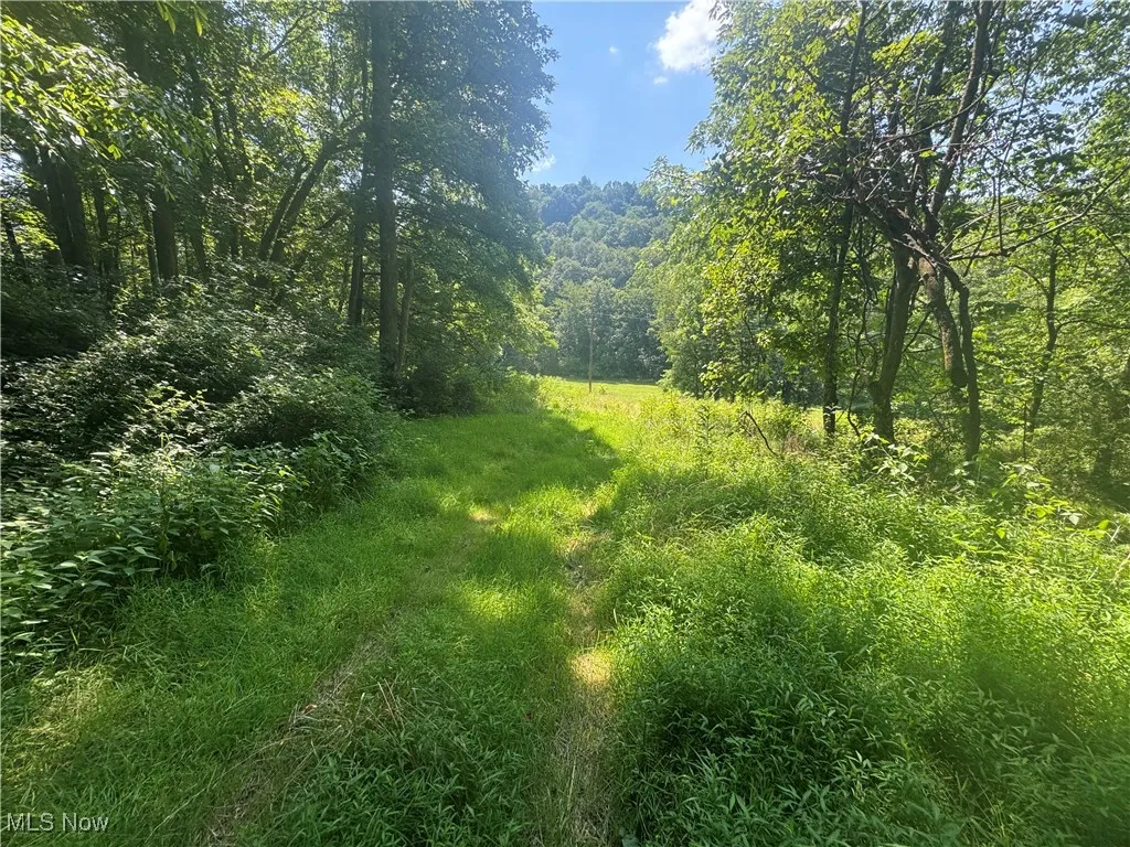 Lot 2 County Rd 9, New Matamoras, Ohio,MLS Now Listing ID