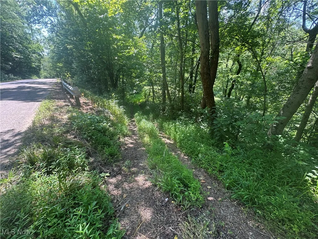 Lot 2 County Rd 9, New Matamoras, Ohio,MLS Now Listing ID