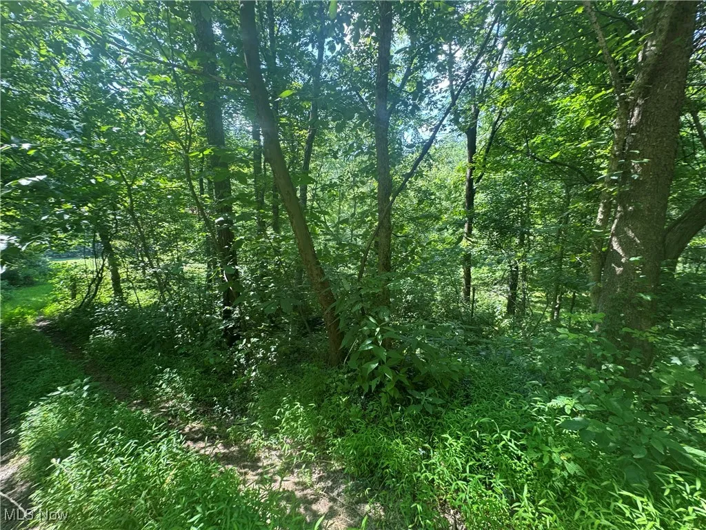 Lot 2 County Rd 9, New Matamoras, Ohio,MLS Now Listing ID