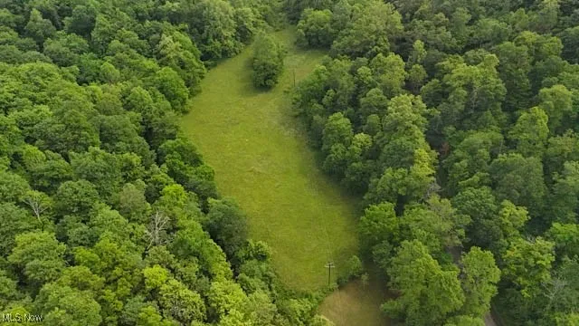 Lot 2 County Rd 9, New Matamoras, Ohio,MLS Now Listing ID