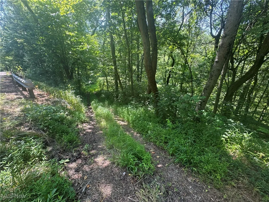 Lot 2 County Rd 9, New Matamoras, Ohio,MLS Now Listing ID