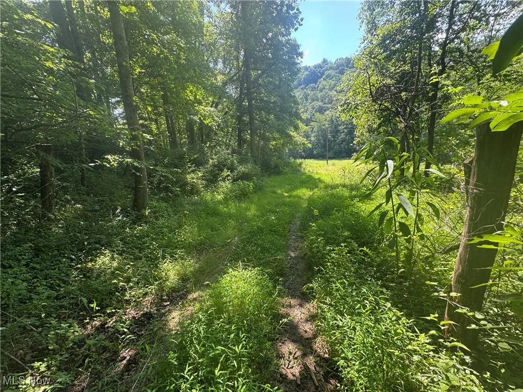 Lot 2 County Rd 9, New Matamoras, Ohio,MLS Now Listing ID