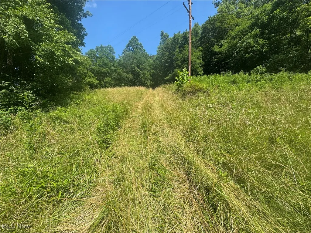 Lot 2 County Rd 9, New Matamoras, Ohio,MLS Now Listing ID