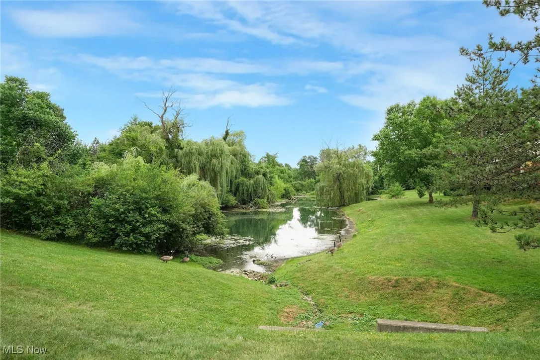 View of green lawn