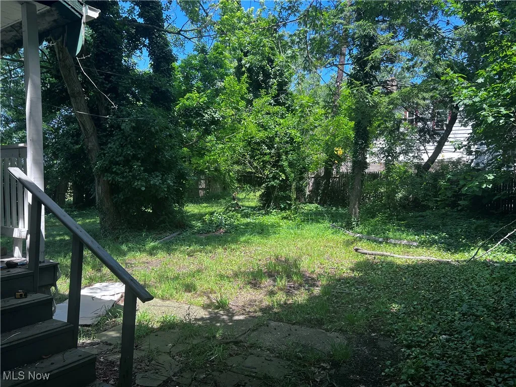 View of backyard