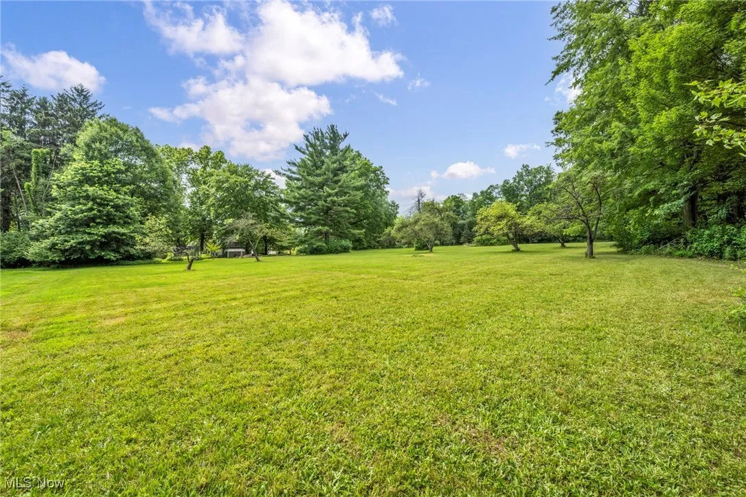 View of grassy yard