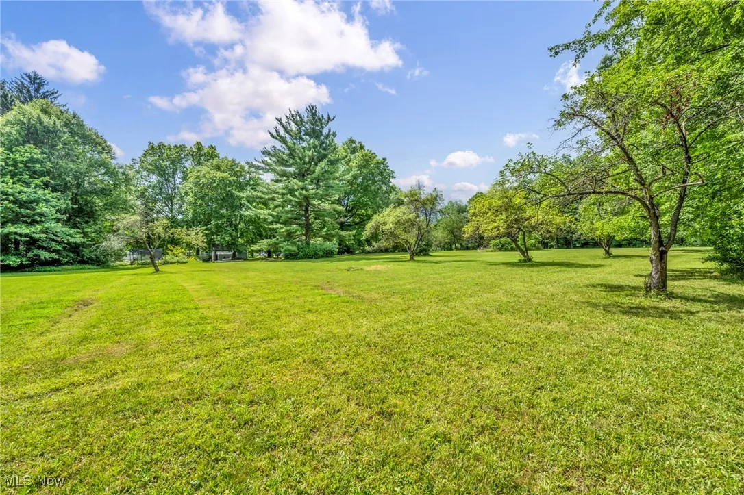 View of grassy yard