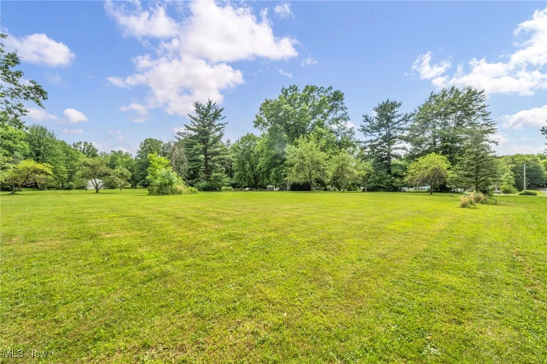 View of grassy yard